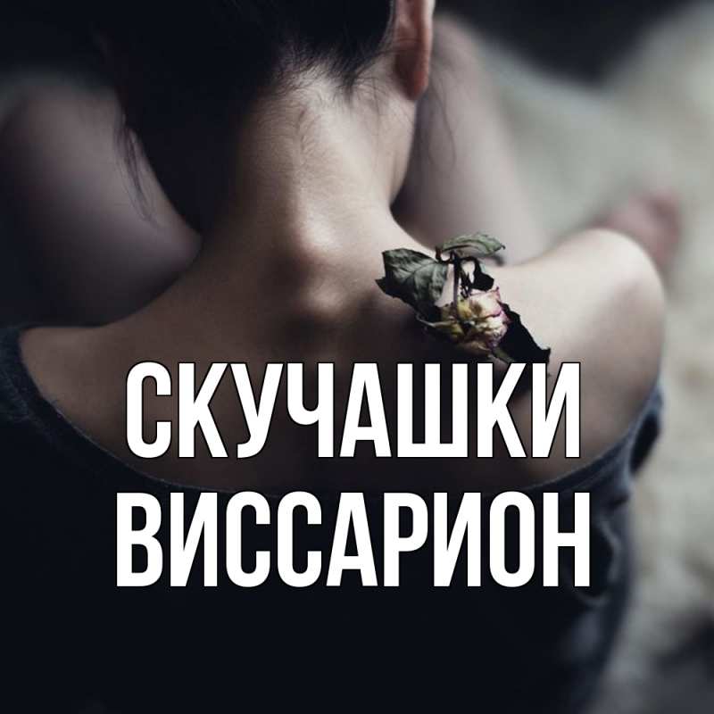 Картинка Скучашки, Виссарион