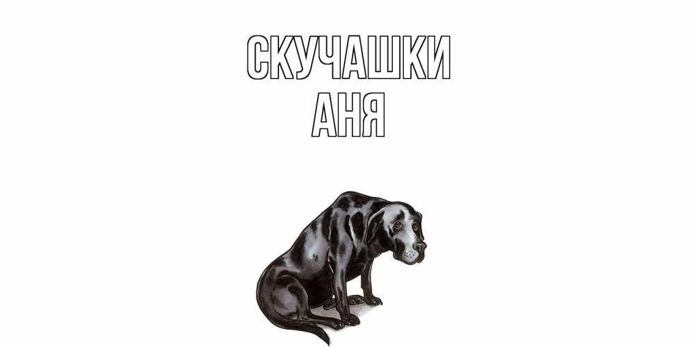 Открытка на каждый день с именем, Аня Скучашки я по тебе скучаю открытка с собакой Прикольная открытка с пожеланием онлайн скачать бесплатно 