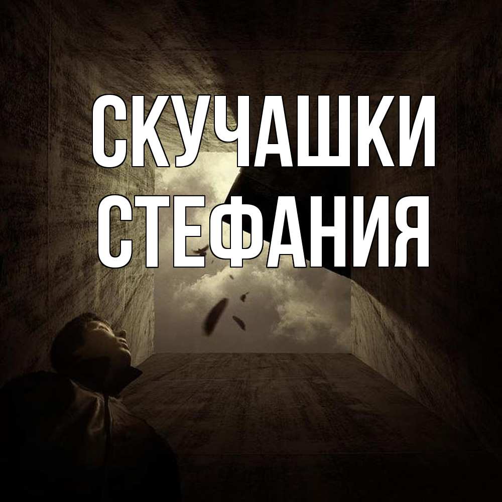 Открытка на каждый день с именем, Стефания Скучашки тут Прикольная открытка с пожеланием онлайн скачать бесплатно 