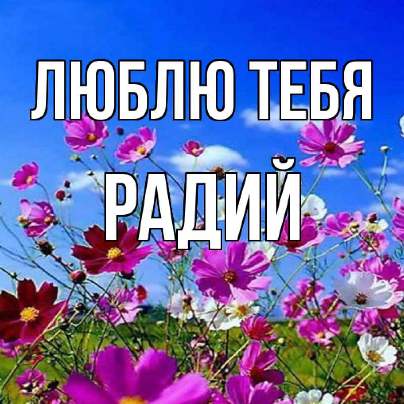 Картинка Люблю тебя, Радий