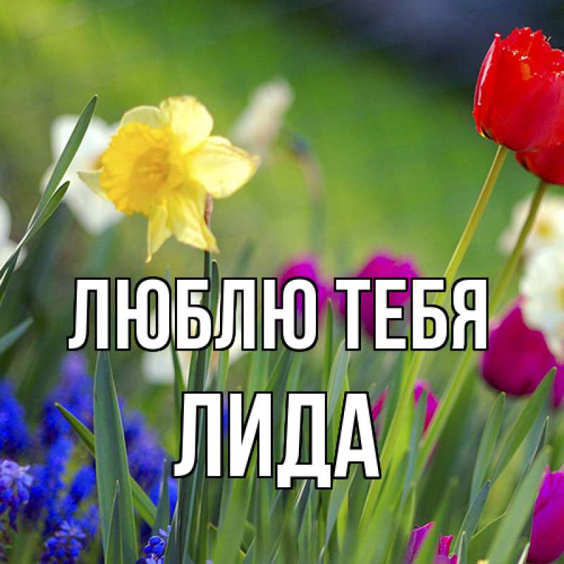 Картинка Люблю тебя, Лида