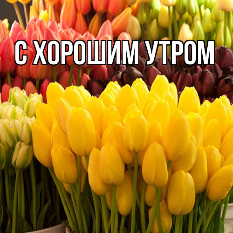 Картинка Люблю тебя, Лёня