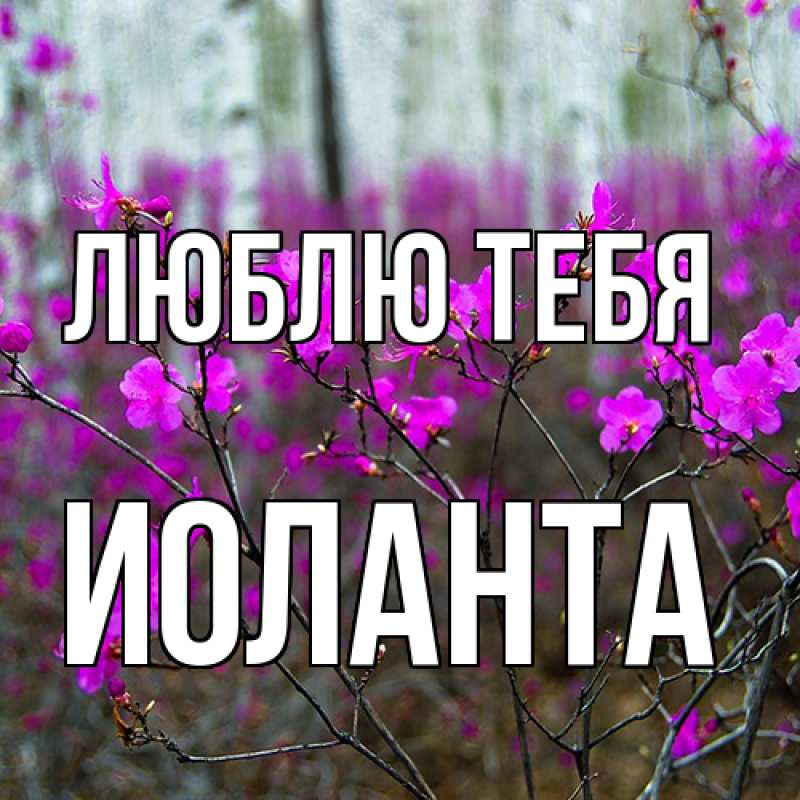 Картинка Люблю тебя, Иоланта