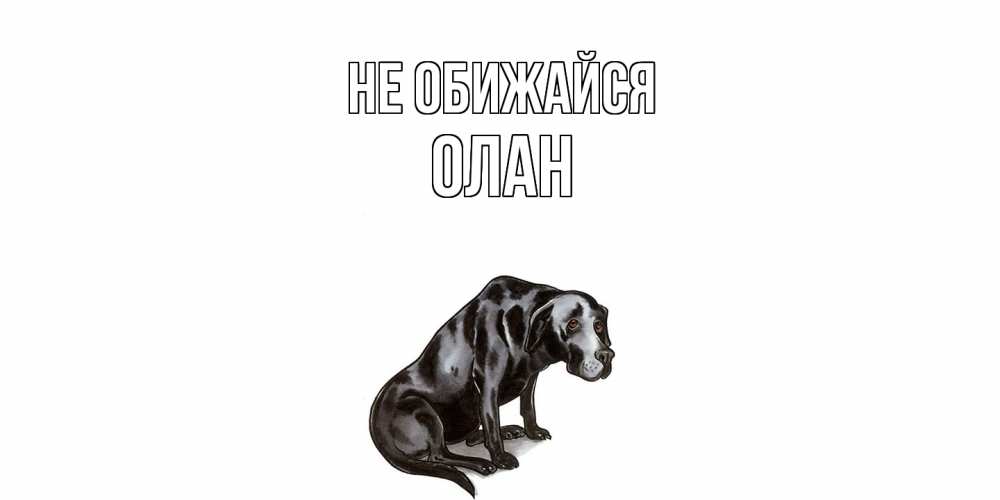Открытка на каждый день с именем, Олан Не обижайся грустная собака на открытке с подписью прости меня Прикольная открытка с пожеланием онлайн скачать бесплатно 