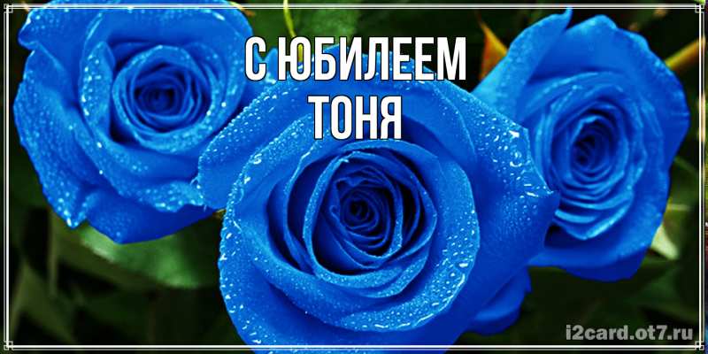 Картинка C юбилеем, Тоня