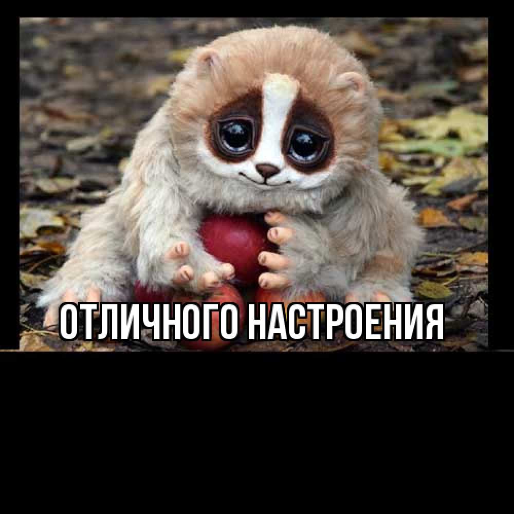 Открытка на каждый день с именем, Толя Большое спасибо прикольное животное Прикольная открытка с пожеланием онлайн скачать бесплатно 