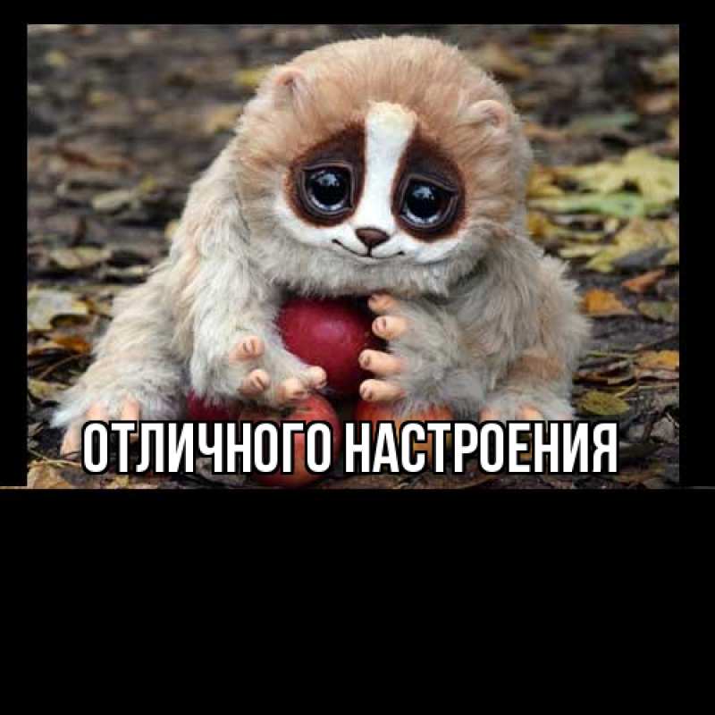 Картинка Большое спасибо, Толя