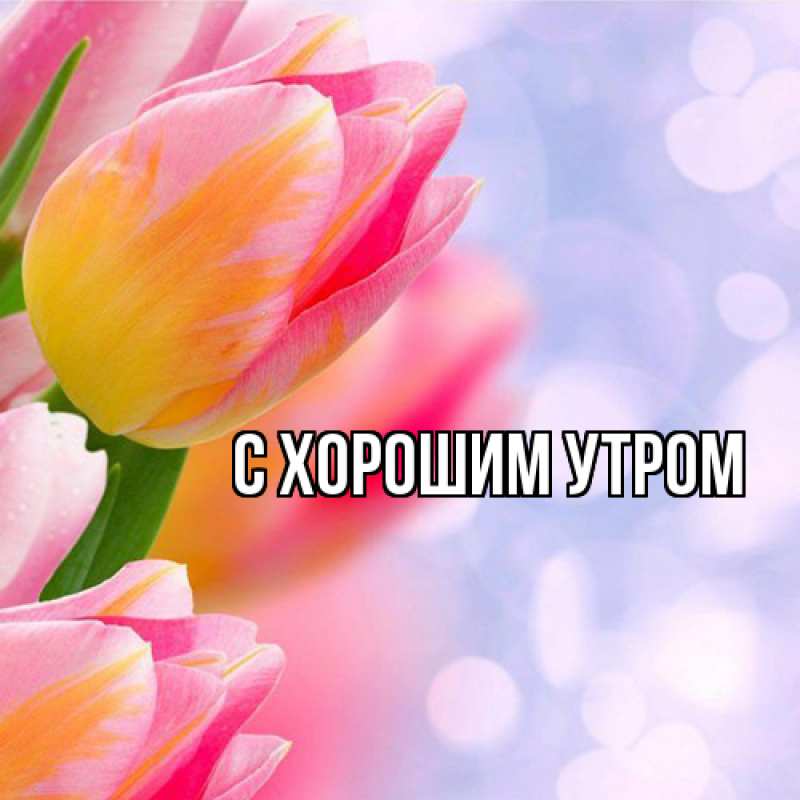 Картинка Люблю тебя, Лида