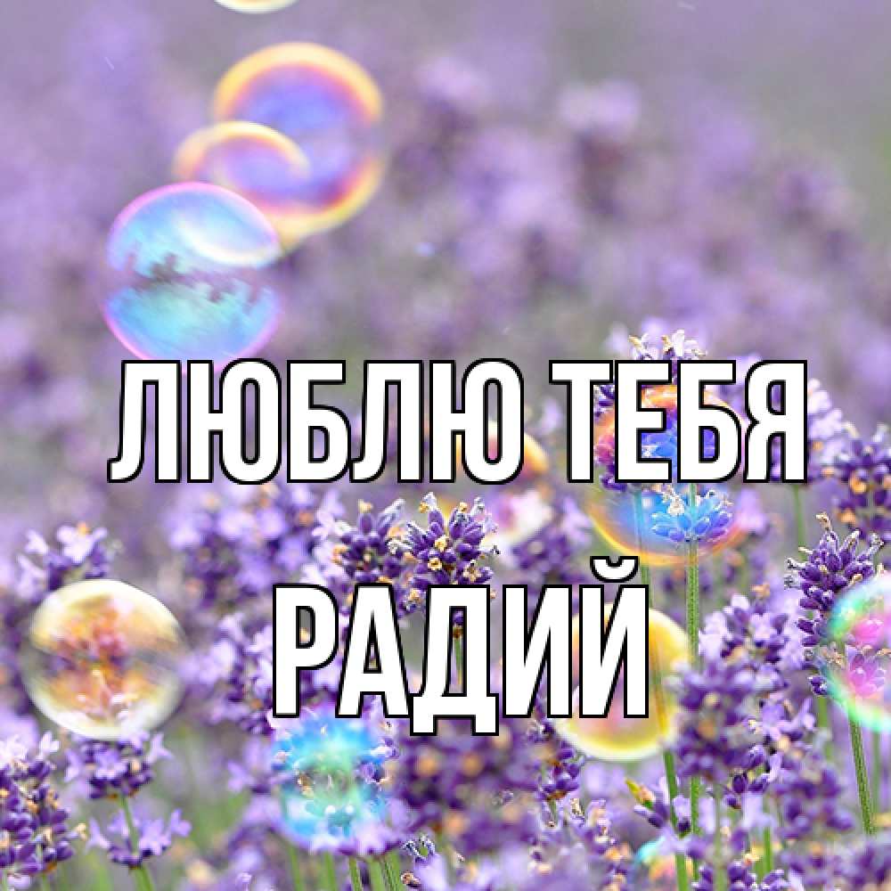 Открытка на каждый день с именем, Радий Люблю тебя цветы Прикольная открытка с пожеланием онлайн скачать бесплатно 