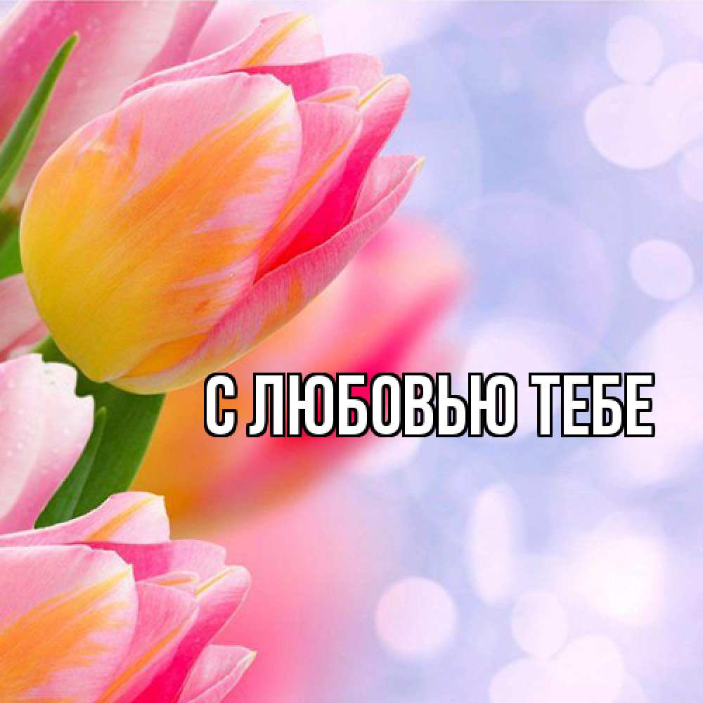Открытка на каждый день с именем, Жан Люблю тебя тюльпаны 2 Прикольная открытка с пожеланием онлайн скачать бесплатно 