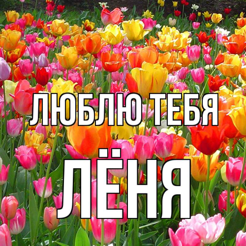 Картинка Люблю тебя, Лёня