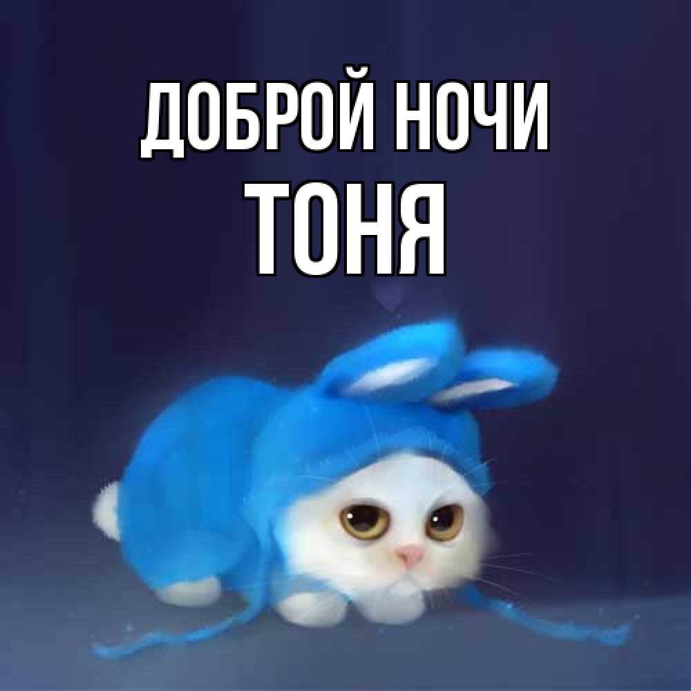 Открытка на каждый день с именем, Тоня Доброй ночи кот в голубом костюме кролика с ушками Прикольная открытка с пожеланием онлайн скачать бесплатно 