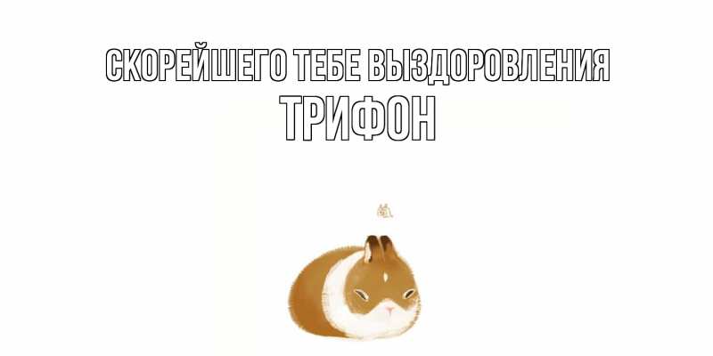 Картинка Скорейшего тебе выздоровления, Трифон