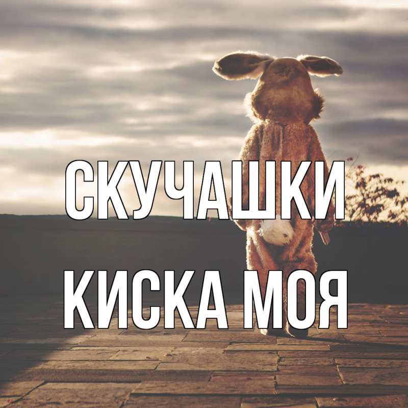 Картинка Скучашки, Киска моя