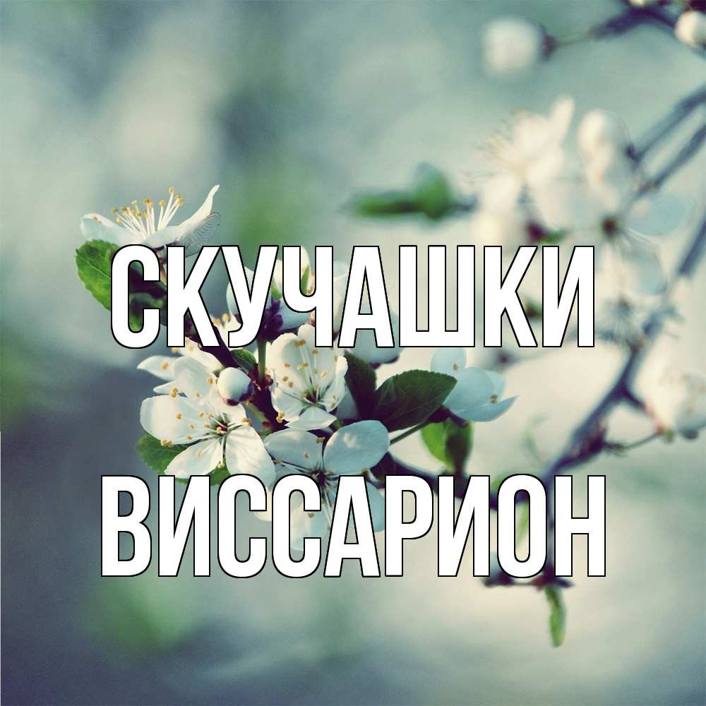 Открытка на каждый день с именем, Виссарион Скучашки весна Прикольная открытка с пожеланием онлайн скачать бесплатно 