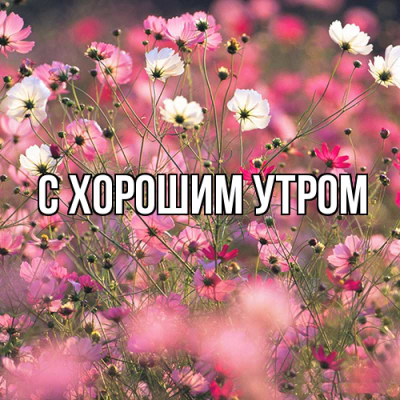 Картинка Люблю тебя, Лёня