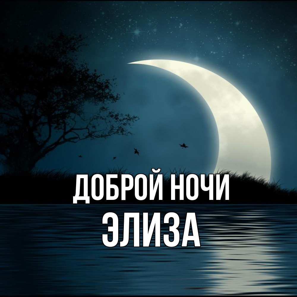 Открытка на каждый день с именем, Элиза Доброй ночи вода Прикольная открытка с пожеланием онлайн скачать бесплатно 