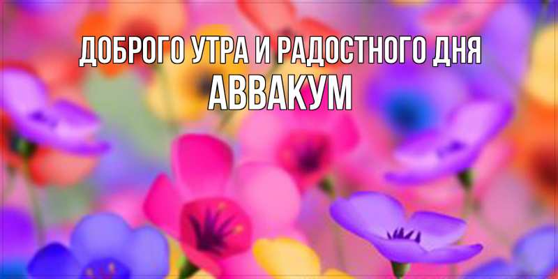 Картинка Доброго утра и радостного дня, Аввакум