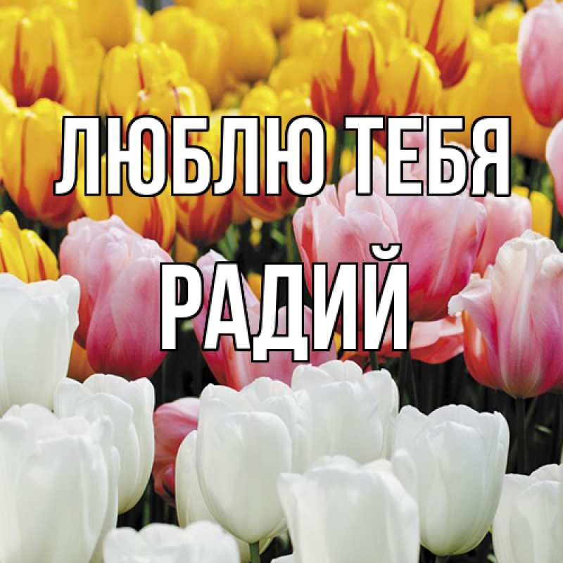Картинка Люблю тебя, Радий