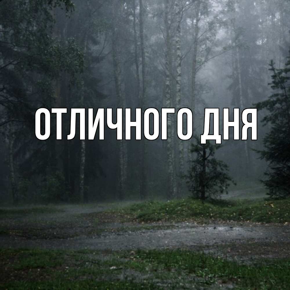 Открытка на каждый день с именем, Леся Скучашки одна и плохо мне Прикольная открытка с пожеланием онлайн скачать бесплатно 