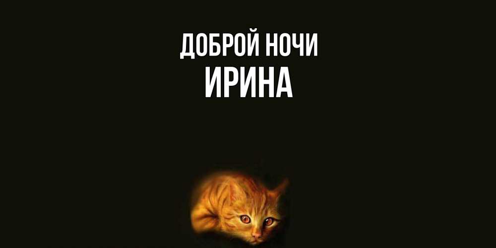 Открытка на каждый день с именем, Ирина Доброй ночи кот Прикольная открытка с пожеланием онлайн скачать бесплатно 