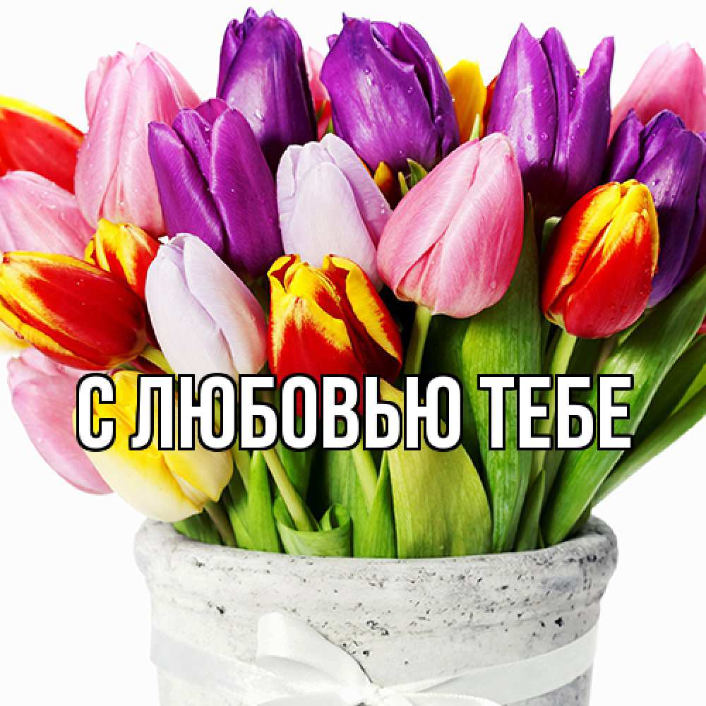 Открытка на каждый день с именем, Жан Люблю тебя букет Прикольная открытка с пожеланием онлайн скачать бесплатно 