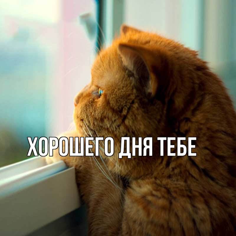 Открытка с именем, Ревекка, Обнимашки