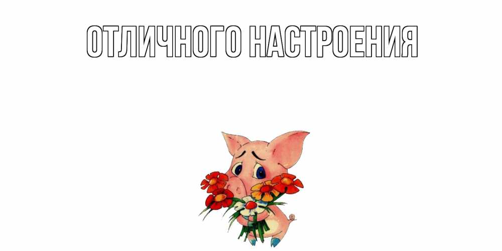 Открытка на каждый день с именем, Серафима Не обижайся открытка с поросей которая просит прощения Прикольная открытка с пожеланием онлайн скачать бесплатно 