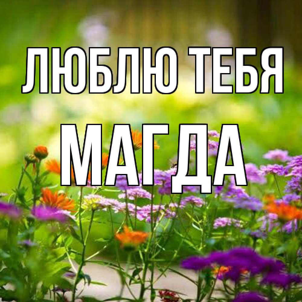 Открытка на каждый день с именем, Магда Люблю тебя цветы Прикольная открытка с пожеланием онлайн скачать бесплатно 