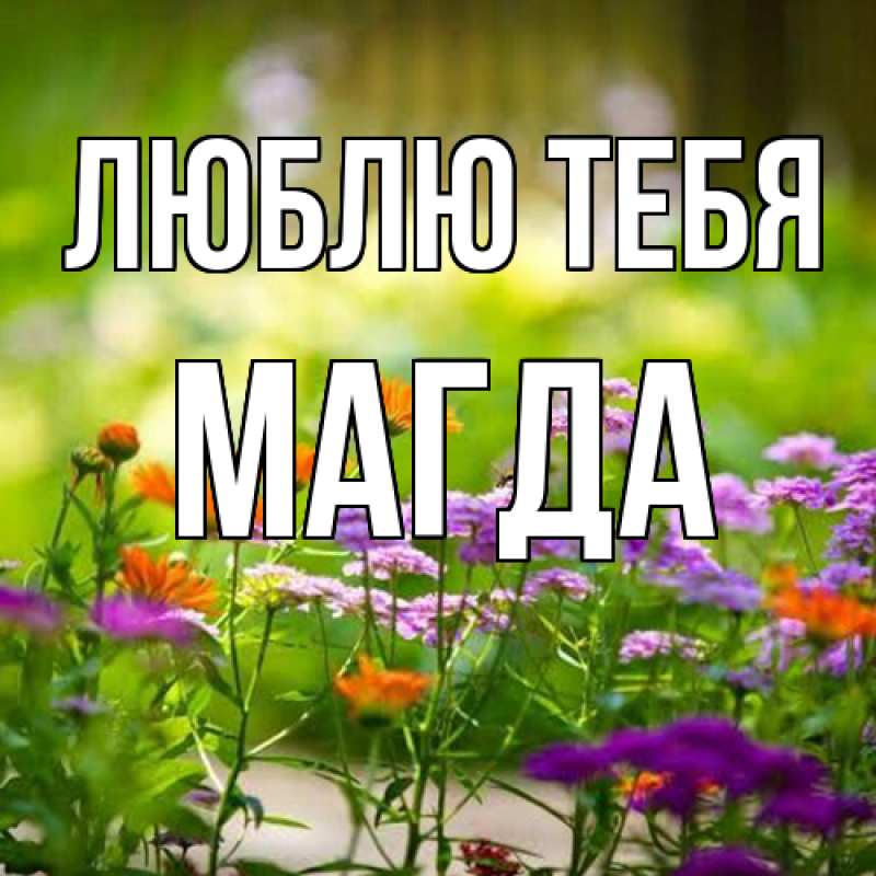 Картинка Люблю тебя, Магда