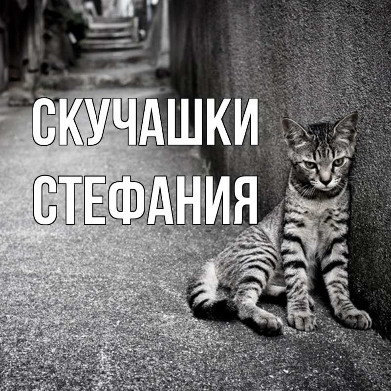 Картинка Скучашки, Стефания