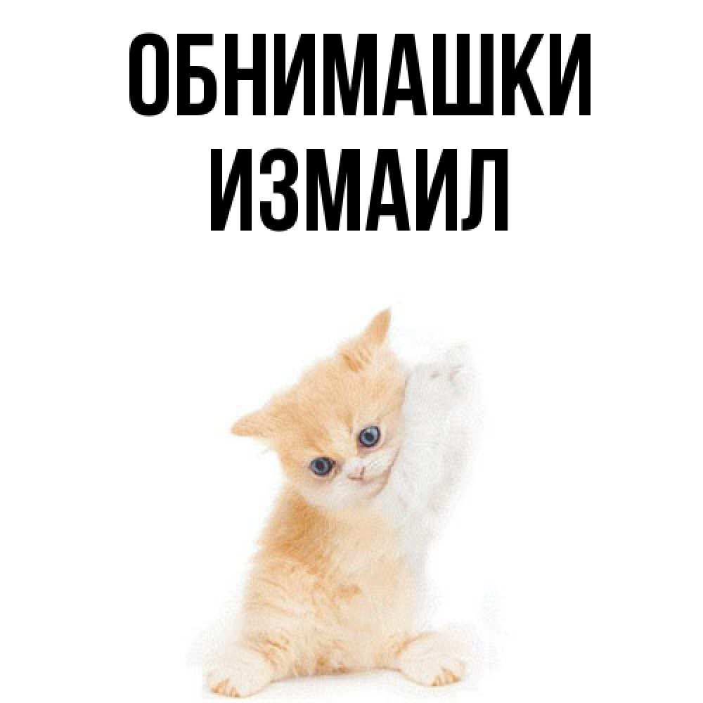 Открытка на каждый день с именем, Измаил Обнимашки я хочу очень скорее обнимаешек Прикольная открытка с пожеланием онлайн скачать бесплатно 