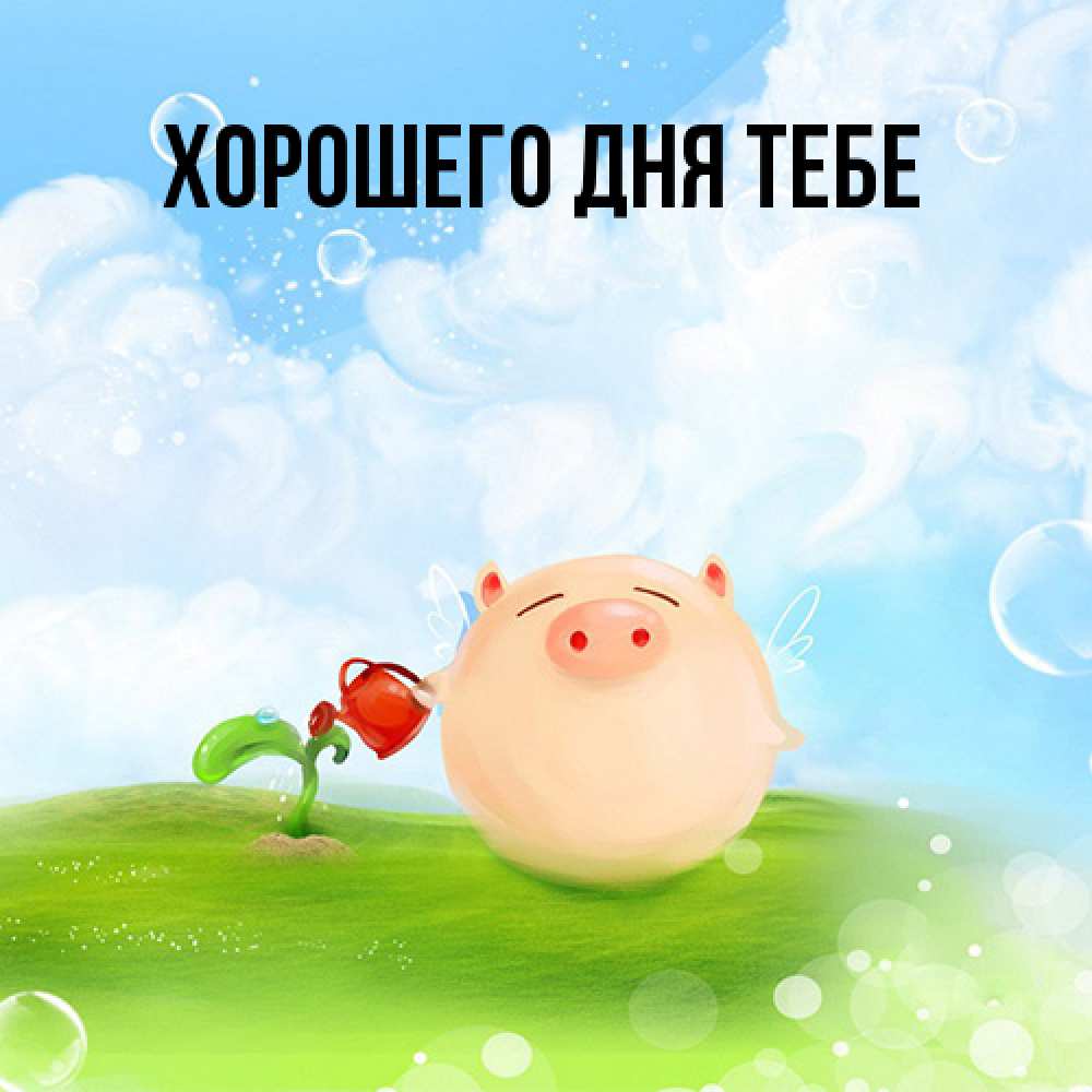 Открытка на каждый день с именем, Теодор Я жду тебя позитивная свинюшка Прикольная открытка с пожеланием онлайн скачать бесплатно 