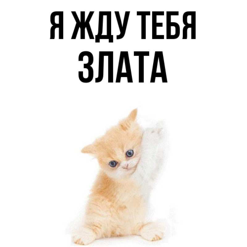 Открытка с именем, Злата, Я жду тебя