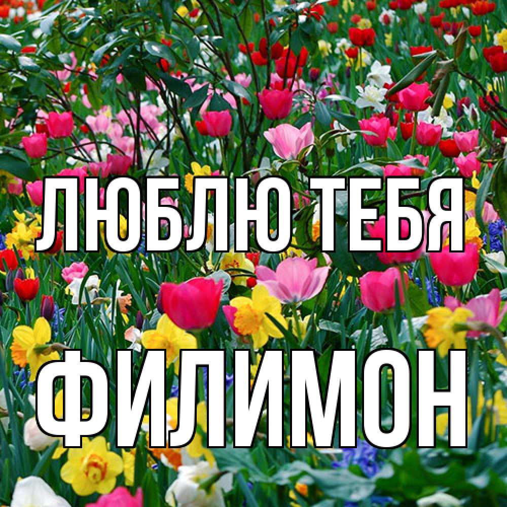 Открытка на каждый день с именем, Филимон Люблю тебя с международным женским днем поздравления для женщины Прикольная открытка с пожеланием онлайн скачать бесплатно 