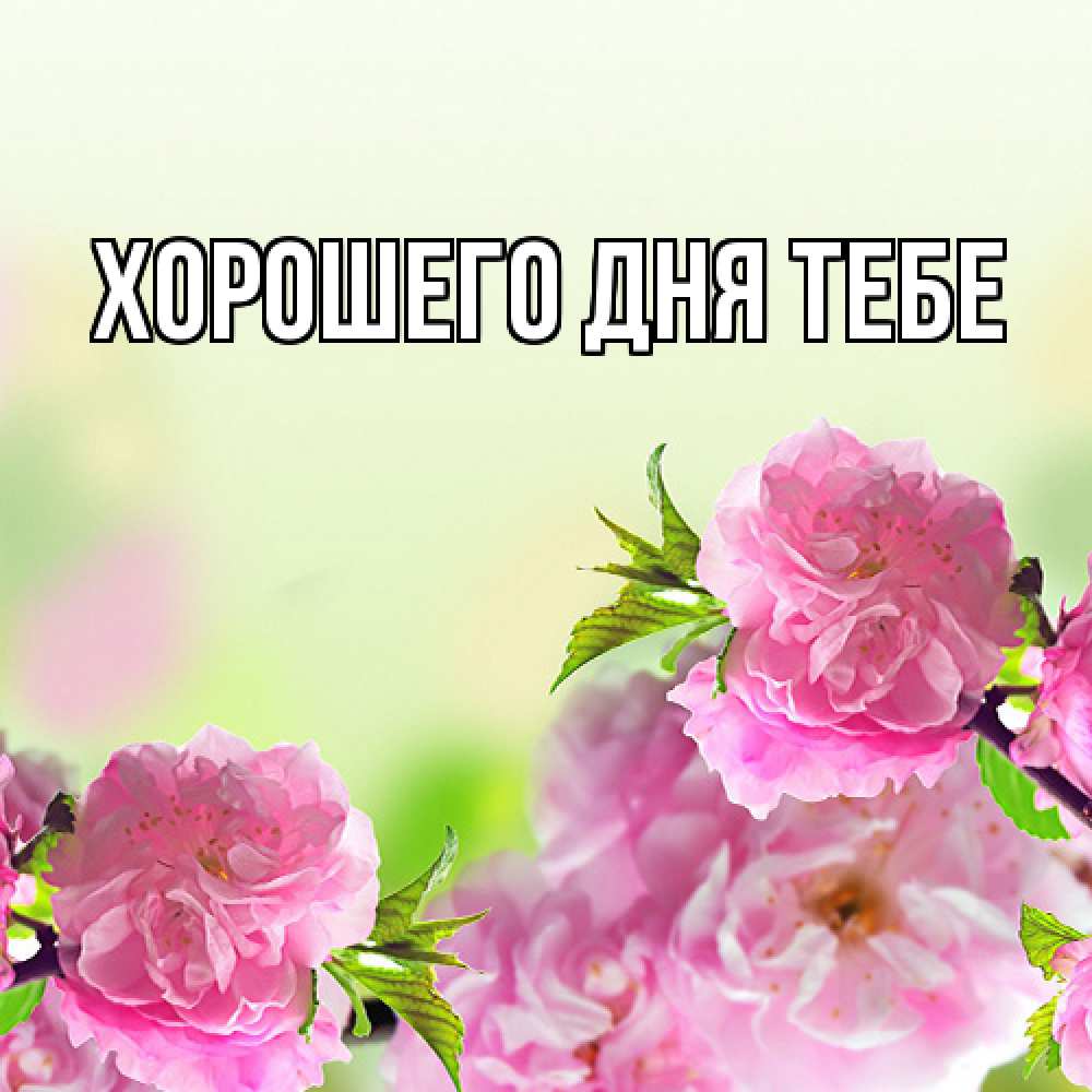 Открытка на каждый день с именем, Измаил Люблю тебя цветы Прикольная открытка с пожеланием онлайн скачать бесплатно 