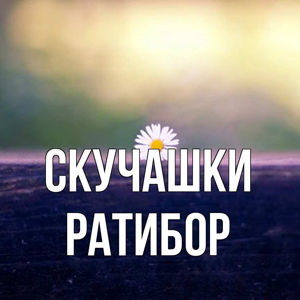 Открытка на каждый день с именем, Ратибор Скучашки приходи в гости Прикольная открытка с пожеланием онлайн скачать бесплатно 