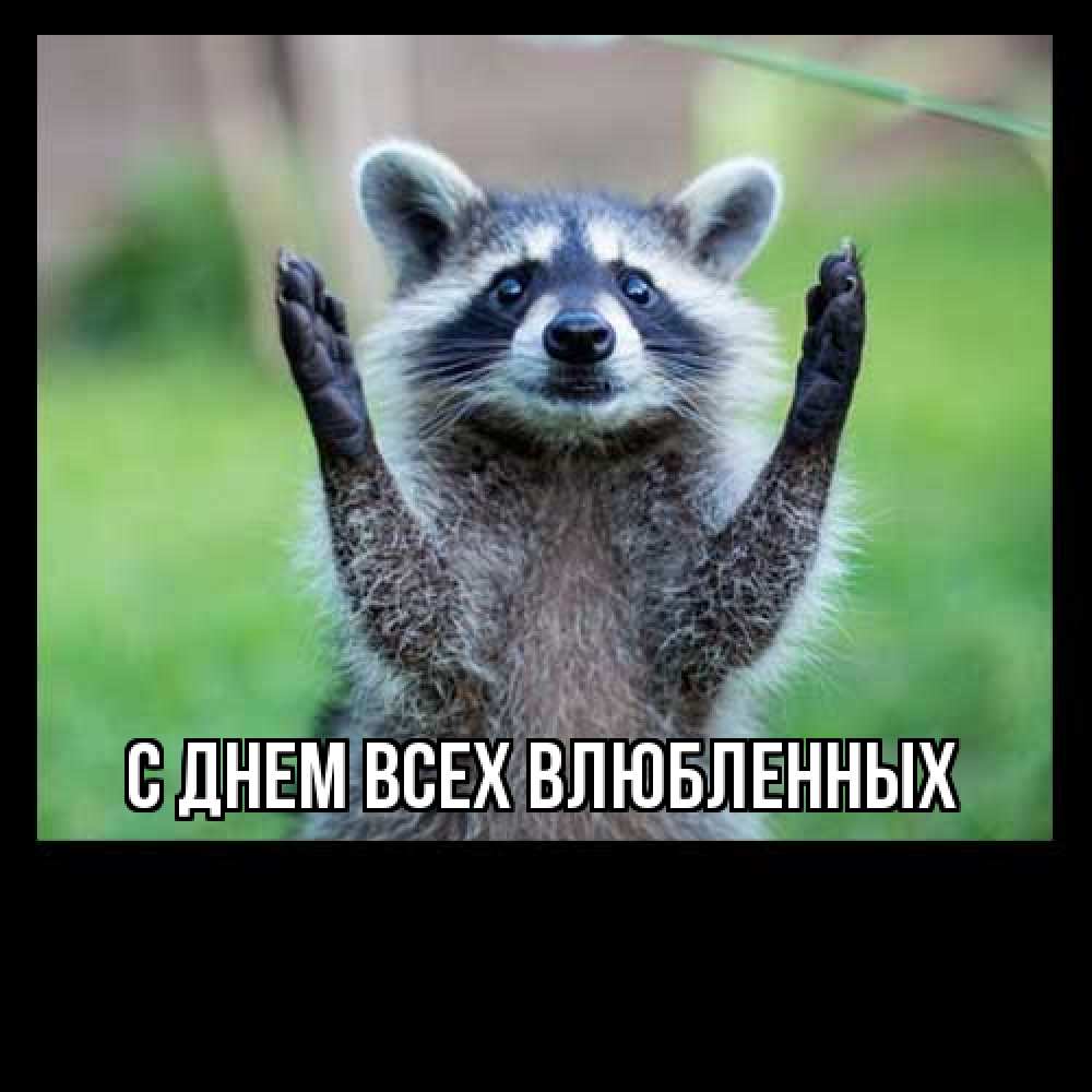 Открытка на каждый день с именем, Трифон Большое спасибо милые животные Прикольная открытка с пожеланием онлайн скачать бесплатно 