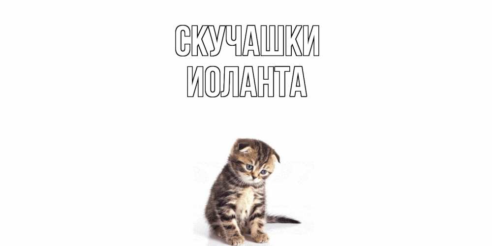 Открытка на каждый день с именем, Иоланта Скучашки кот Прикольная открытка с пожеланием онлайн скачать бесплатно 