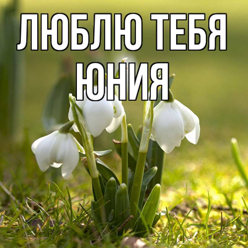 Картинка Люблю тебя, Юния