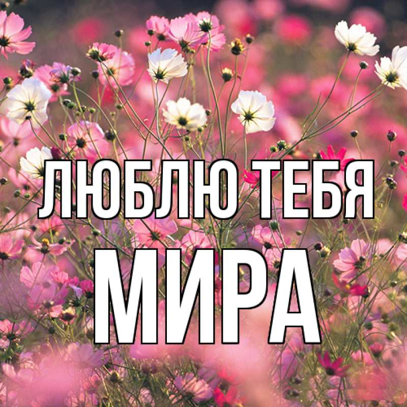 Открытка с именем, Мира, Люблю тебя