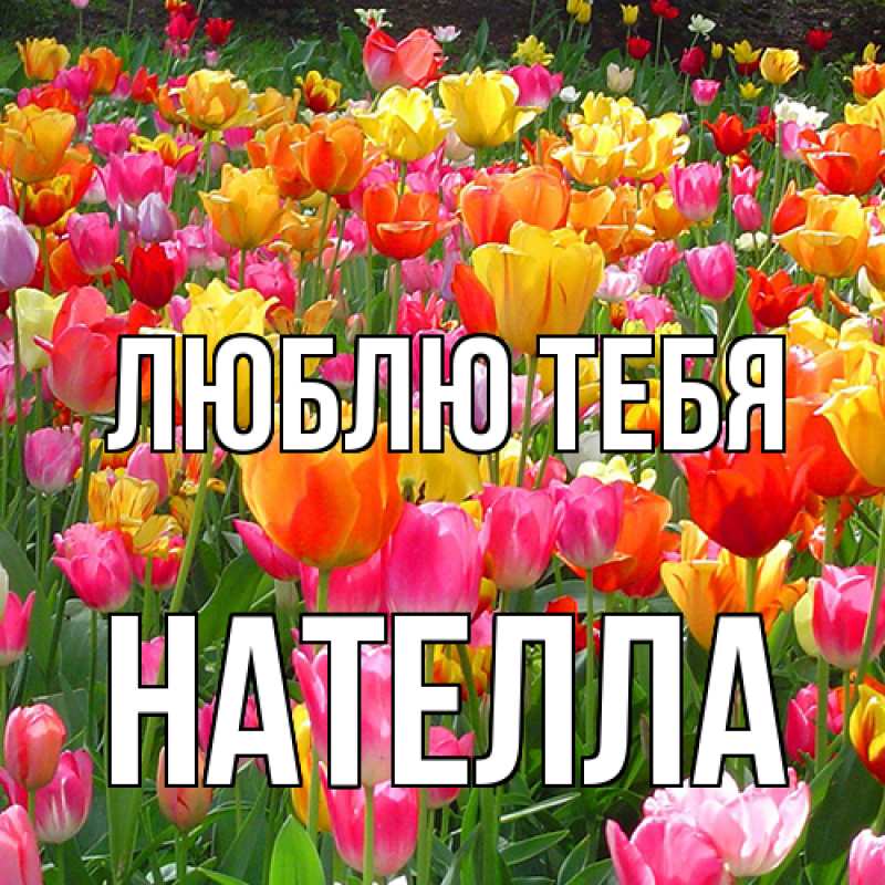 Картинка Люблю тебя, Нателла