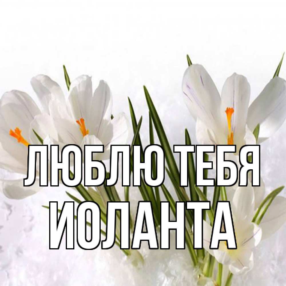 Открытка на каждый день с именем, Иоланта Люблю тебя под снегом Прикольная открытка с пожеланием онлайн скачать бесплатно 