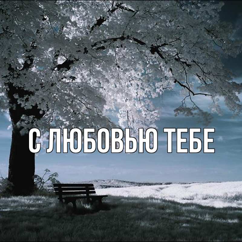 Открытка с именем, Коля, Обнимашки