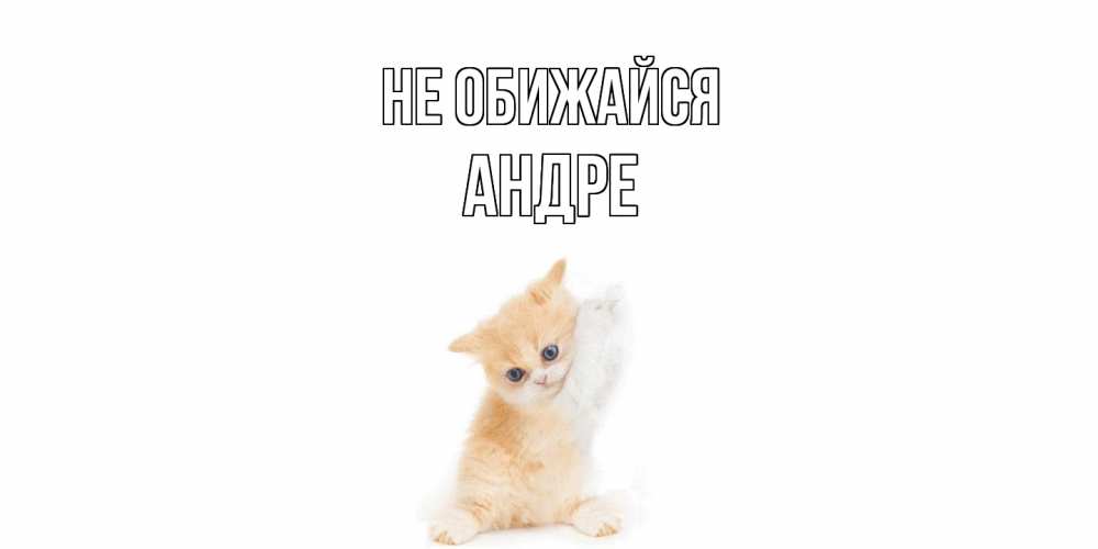 Открытка на каждый день с именем, Андре Не обижайся кот Прикольная открытка с пожеланием онлайн скачать бесплатно 