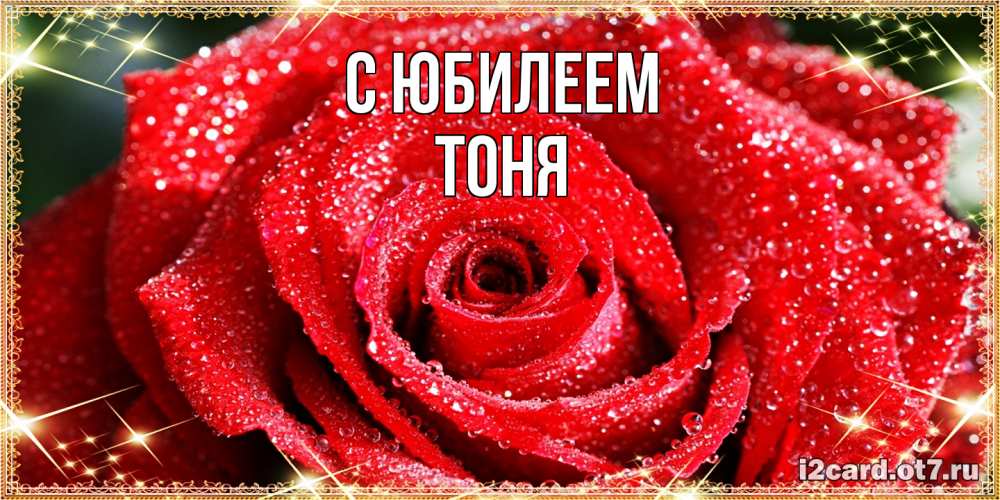 Открытка на каждый день с именем, Тоня C юбилеем роса и роза. открытка с красивой розой Прикольная открытка с пожеланием онлайн скачать бесплатно 