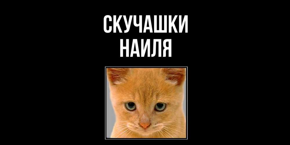 Открытка на каждый день с именем, Наиля Скучашки открытки рыжий котенок скучает по тебе Прикольная открытка с пожеланием онлайн скачать бесплатно 