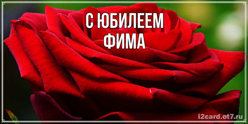 Открытка на каждый день с именем, Фима C юбилеем розочка очень красивая Прикольная открытка с пожеланием онлайн скачать бесплатно 
