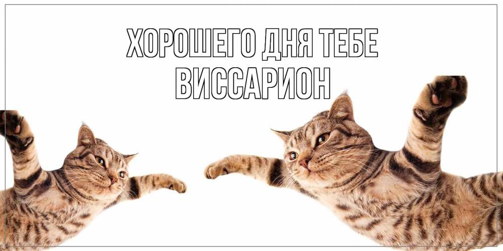 Открытка на каждый день с именем, Виссарион Хорошего дня тебе хорошего дня Прикольная открытка с пожеланием онлайн скачать бесплатно 