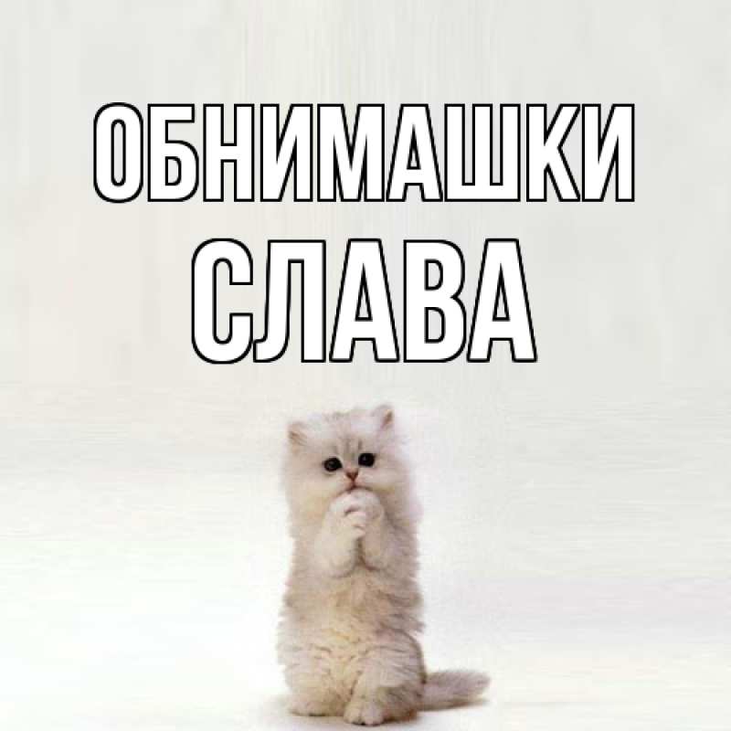 Картинка Обнимашки, Слава